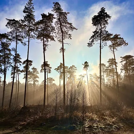 Luett Heidjer Hus Feriehus *
