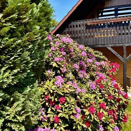 Feriehus Luett Heidjer Hus